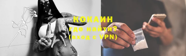 бошки Абинск