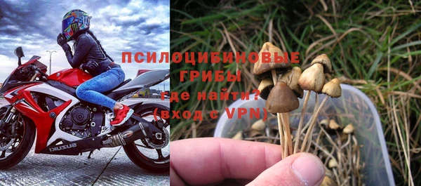 бошки Абинск